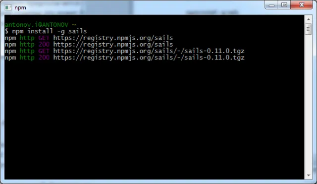 Рисунок 3. Установка sails.js с помощью NPM